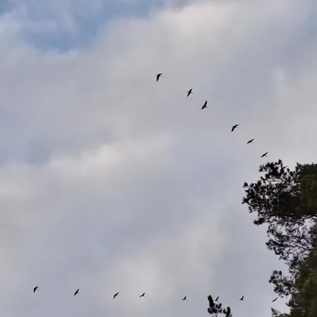 Z Jeziorem - Sajzy 22 Holiday home Elk