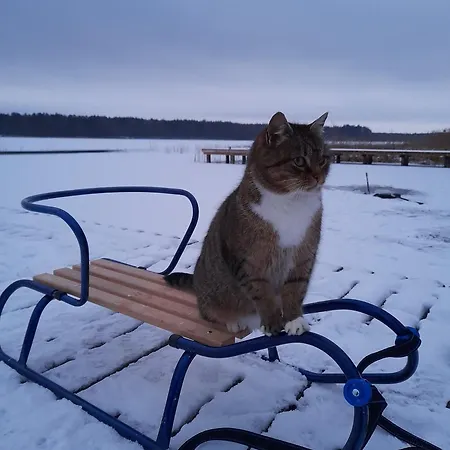 Z Jeziorem - Sajzy 22 Holiday home *