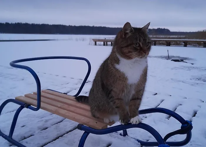 Z Jeziorem - Sajzy 22 Дом отдыха *