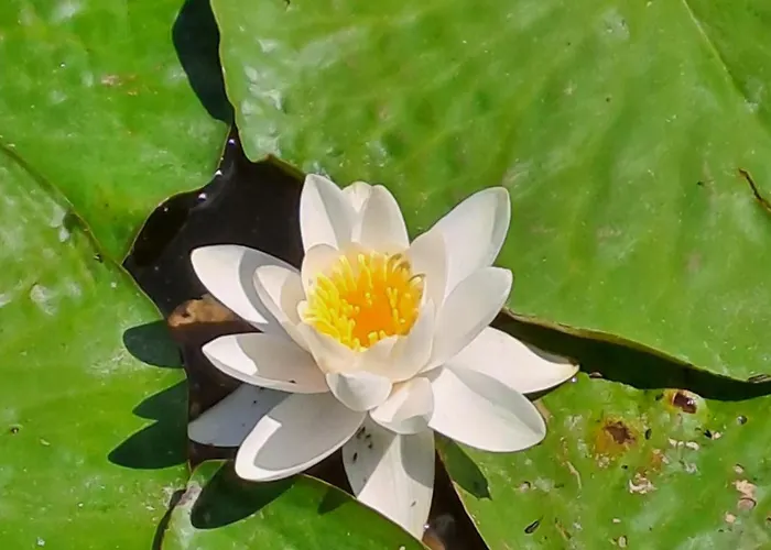 Z Jeziorem - Sajzy 22 Дом отдыха Элк